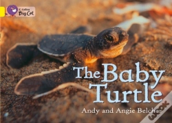 Capa do artigo Collins Big Cat - The Baby Turtle