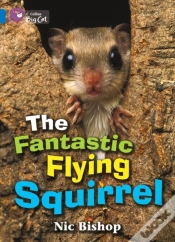 Capa do artigo Collins Big Cat - The Fantastic Flying Squirrel