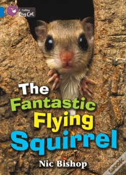 Capa do artigo Collins Big Cat - The Fantastic Flying Squirrel