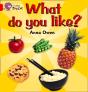 Collins Big Cat - What Do You Like? Workbook - Preview