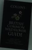 Collins British Wild Flower Guide