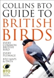 Capa do artigo Collins Bto Guide To British Birds