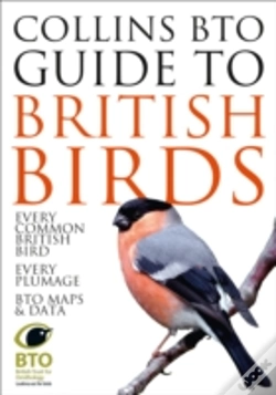 Capa do artigo Collins Bto Guide To British Birds