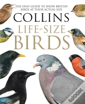 Capa do artigo Collins Life-Size Birds