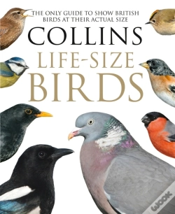 Capa do artigo Collins Life-Size Birds