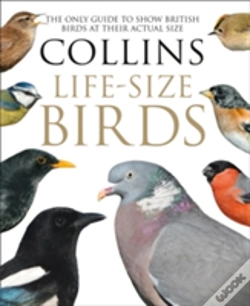 Capa do artigo Collins Life-Size Birds