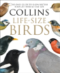 Collins Life-Size Birds - Preview