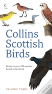 Capa do artigo Collins Scottish Birds