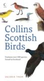 Collins Scottish Birds - Preview