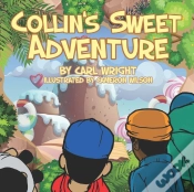 Capa do artigo Collin