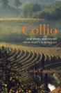 Collio - Preview