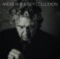Collodion - Vinil - Preview