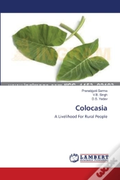 Capa do artigo Colocasia