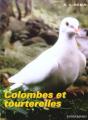 Colombes Et Tourterelles - Preview