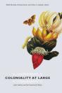 Coloniality At Large - Preview