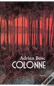 Capa do artigo Colonne