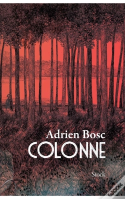 Capa do artigo Colonne