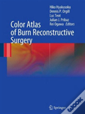 Color Atlas Of Burn Reconstructive Surgery