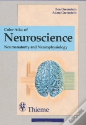 Color Atlas Of Neuroscience