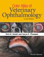 Color Atlas Of Veterinary Ophthalmology - Preview