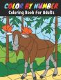 Color By Number Coloring Book For Adults - Preview