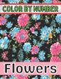 Color By Number Flowers - Preview