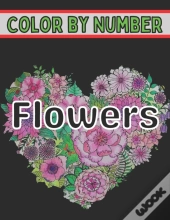 Color By Number Flowers