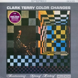 Capa do artigo Color Changes - Vinil