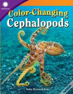 Capa do artigo Color-Changing Cephalopods
