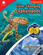 Capa do artigo Color-Changing Cephalopods & Making An Ocean Ecosystem