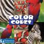 Color Codes - Preview