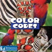 Capa do artigo Color Codes