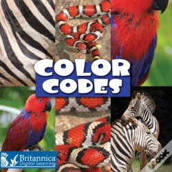 Capa do artigo Color Codes