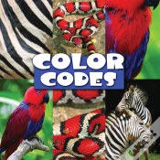 Capa do artigo Color Codes
