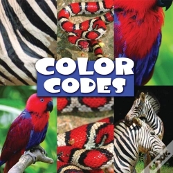 Capa do artigo Color Codes