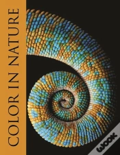 Capa do artigo Color In Nature