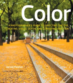 Capa do artigo Color