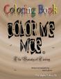Color Me Nice #3 - Preview