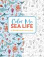 Color Me Under The Sea - Preview