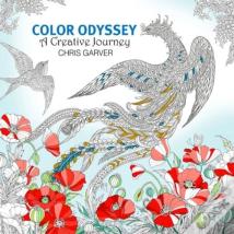 Color Odyssey