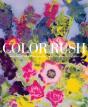 Color Rush - Preview
