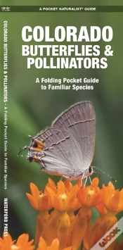 Capa do artigo Colorado Butterflies & Pollinators