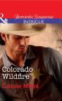 Colorado Wildfire - Preview