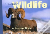 Colorado Wildlife