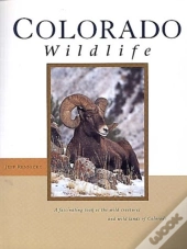 Colorado Wildlife