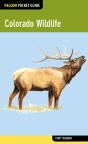 Colorado Wildlife - Preview