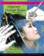 Colorful Introduction To The Anatomy Of The Human Brain, A - Preview