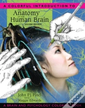 Capa do artigo Colorful Introduction To The Anatomy Of The Human Brain, A