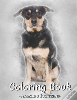 Capa do artigo Coloring Book