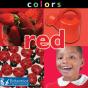 Colors - Preview